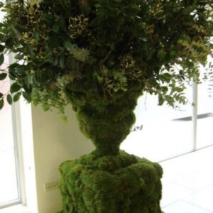 ΑΝΦΟΡΕΑΣ ΜΕ ΒΡΥΑ ΒΙΟΦΥΛΙΚΗ ΚΑΙ ΦΥΛΛΩΜΑΤΑ 1Μ.