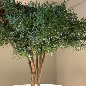 Τεχνητή Ελια Φυσικο Κορμο για βαση μπαρ 2,50μ