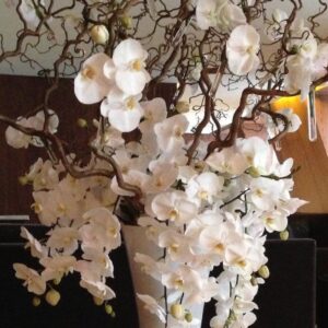 Τεχνητή ορχιδέα σύνθεση σε κεραμικό κασπώ Υ 1,80μ.μ.