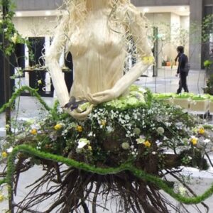 ΔΙΑΚΟΣΜΗΤΙΚΗ ΒΙΟΦΙΛΙΚΗ ΚΟΥΚΛΑ ΒΙΤΡΙΝΑΣ ΜΕ ΡΙΖΕΣ