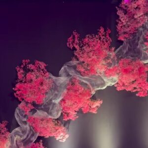 Διακοσμηση τοιχου με σιτα ινοξ και γυψοφυλι 2μ.